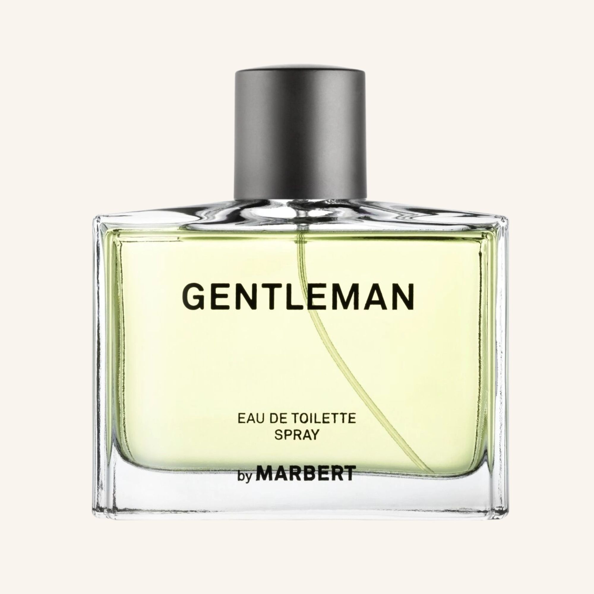 Туалетна вода для чоловіків GENTLEMAN Туалетна вода для чоловіків GENTLEMAN
